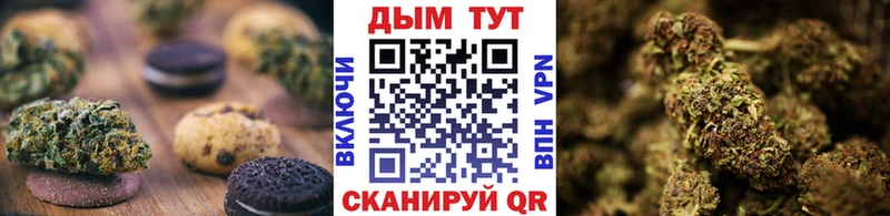 Canna-Cookies марихуана  купить   Черноголовка 