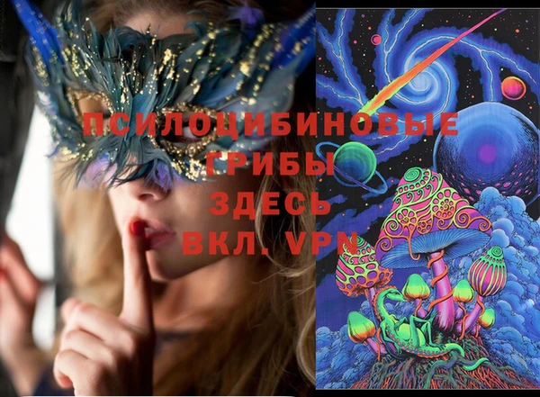 шишки Абдулино